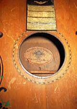 Regal Parlor Guitar AUT_0048.JPG